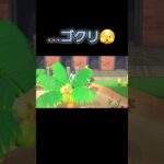 あつ森　#380　まったりしていきませんか？🐯📓