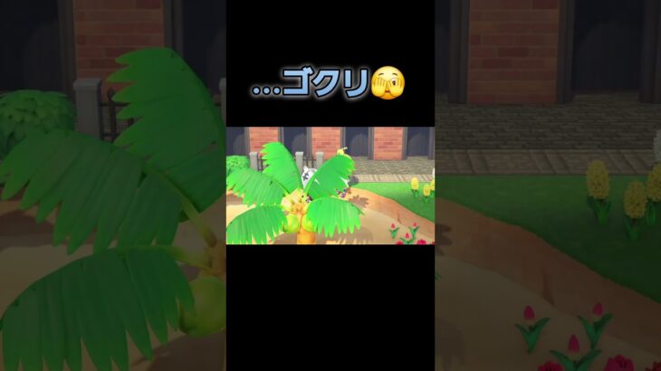 あつ森　#380　まったりしていきませんか？🐯📓