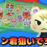 【あつ森】ジュン君狙いでキャラマグネッツを3個買ってみた！【Vtuber / 猫実況】