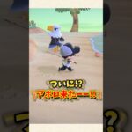 【あつ森】離島ガチャの奇跡！？一気に探してた3人に会えたw【あつまれどうぶつの森】#shorts #あつ森