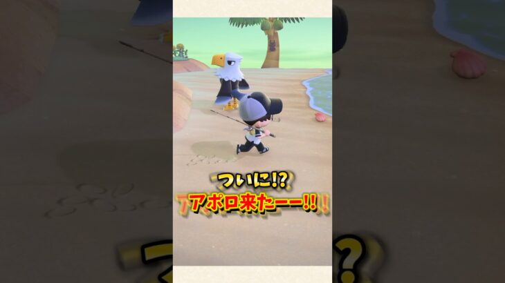 【あつ森】離島ガチャの奇跡！？一気に探してた3人に会えたw【あつまれどうぶつの森】#shorts #あつ森