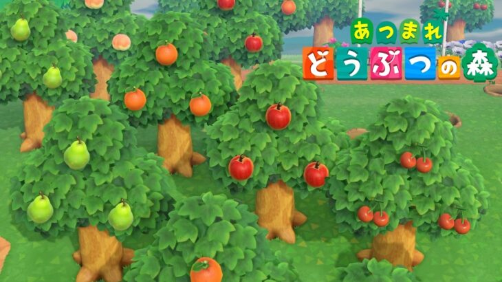 【あつ森】#46 島に果樹園ができました