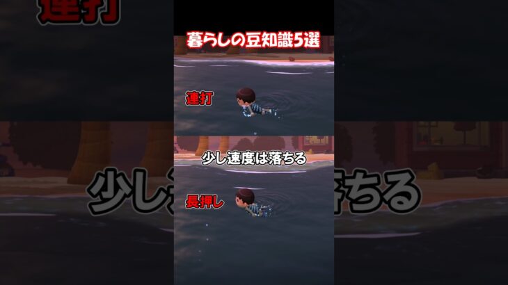 暮らしの豆知識5選 【あつ森】@ほのげ