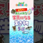 【あつ森】おしゃれな家具に変身する生き物 5選【あつ森】 #裏ワザ #あつまれどうぶつの森