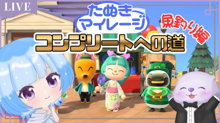 【あつ森】花火見ながら魚釣り🎣たぬきマイレージコンプ 魚5000匹釣る編✨のんびり島生活♪