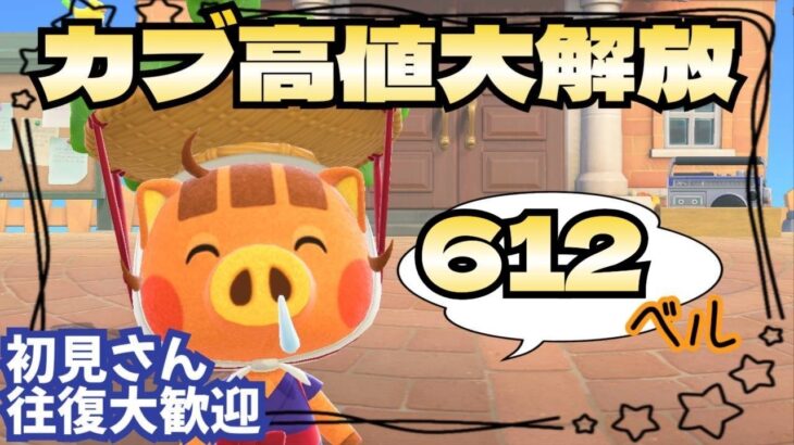【あつ森実況】朝からカブ活612ベル！！参加型！【初見さん歓迎！】
