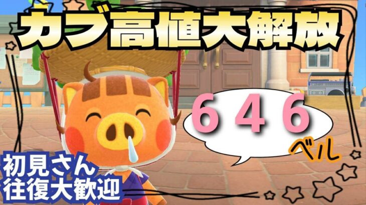 【あつ森実況】朝からカブ活646ベル！！参加型！【初見さん歓迎！】