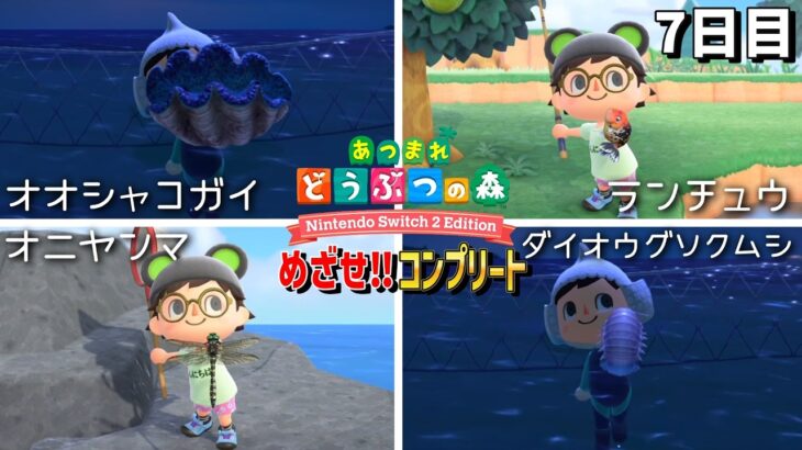 【あつ森】夏休みだから虫・魚・化石を全部集めよう⚡ 7日目【あつまれどうぶつの森 Nintendo Switch 2 Edition】