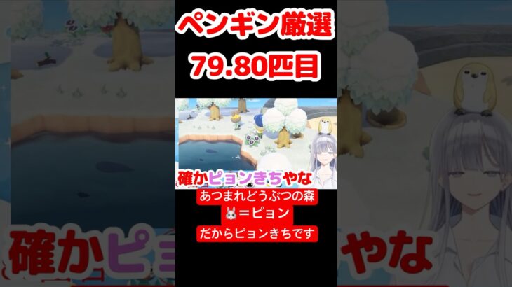 【あつ森】ペンギン厳選79.80匹目 #vtuber  #ゲーム実況