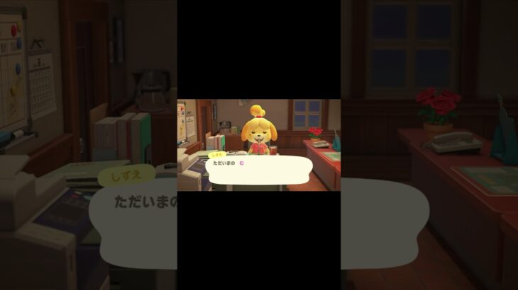今日のしずえ。8/26　　#ゲーム配信　#あつ森　#どうぶつの森