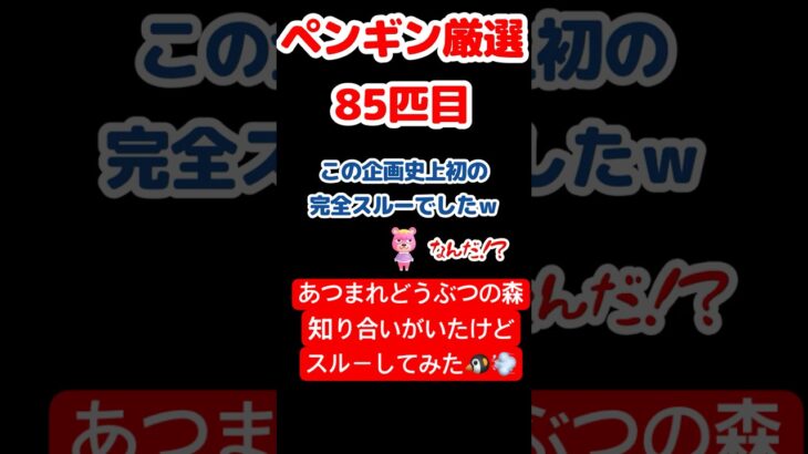 【あつ森】ペンギン厳選85匹目 #vtuber  #ゲーム実況