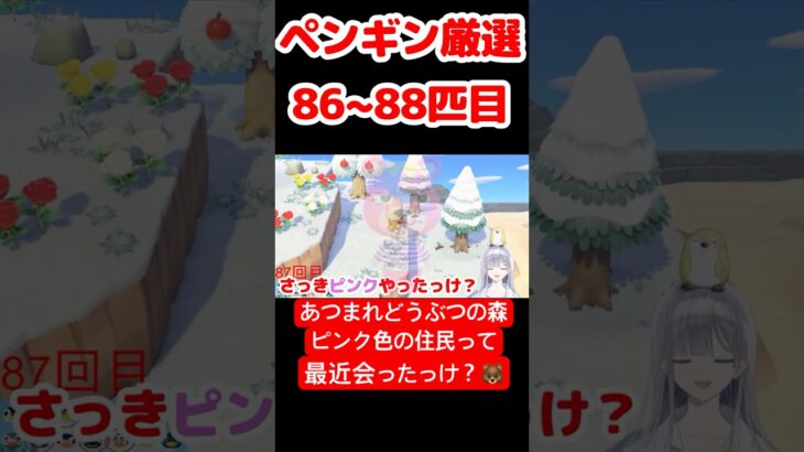 【あつ森】ペンギン厳選86~88匹目 #vtuber  #ゲーム実況
