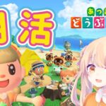 【あつ森】8月の島クリ！北海道の花火大会会場を再現！虫取り大会の会場もゆるくつくる生配信！8/3(月)