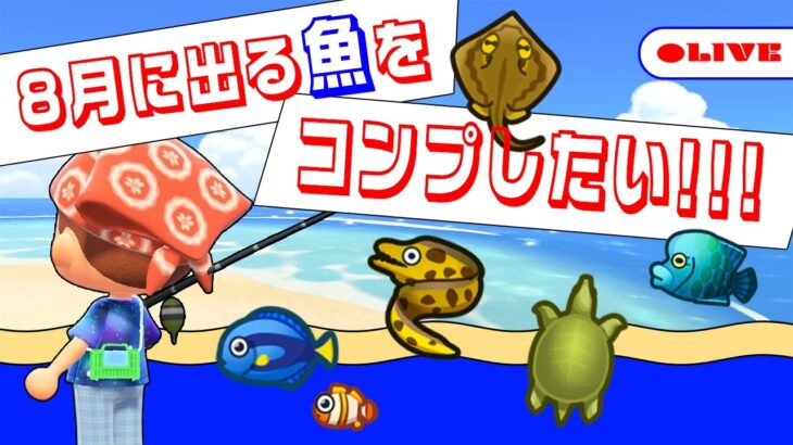【あつ森】8月の魚を探しに行こう！のんびり釣り大会LIVE🎣✨【生配信】