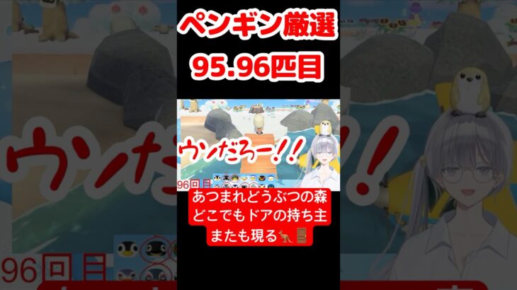 【あつ森】ペンギン厳選95.96匹目 #vtuber  #ゲーム実況