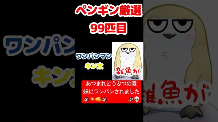 【あつ森】ペンギン厳選99匹目 #vtuber  #ゲーム実況