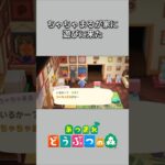 【あつ森】ちゃちゃまるが家に遊びに来た！これからはアニキって呼んだ方がいい？😆【あつまれどうぶつの森】【どうぶつの森】【ACNH】 #short