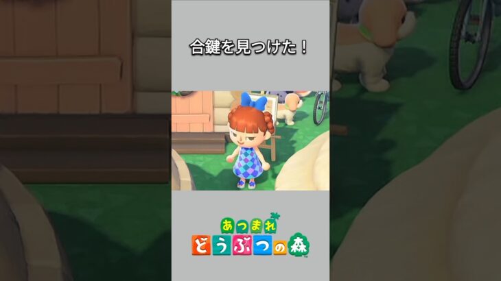 【あつ森】ちゃちゃまるの家の合鍵を見つけちゃった😆これで自由に入りたい放題😏✨【あつまれどうぶつの森】【どうぶつの森】【ACNH】 #short