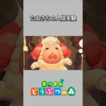 【あつ森】たぬきちが、ちゃちゃまるを使って何かの実験を！？😱【あつまれどうぶつの森】【どうぶつの森】【ACNH】 #short
