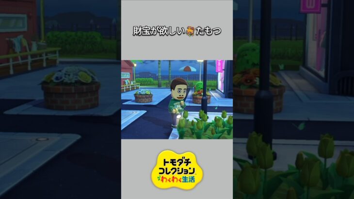 【トモコレ】財宝を探す、たもつ✨【あつ森】【トモダチコレクションわくわく生活】【ACNH】 #short