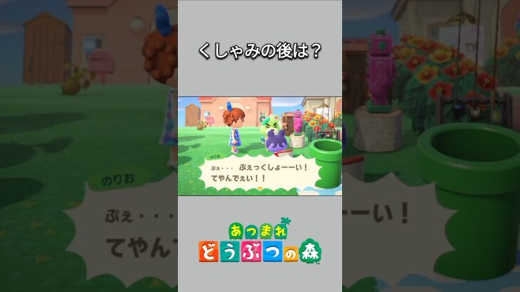 【あつ森】くしゃみの後って、思わず何か言っちゃう！？アイーダも言ってみる？😆【あつまれどうぶつの森】【どうぶつの森】【ACNH】 #short