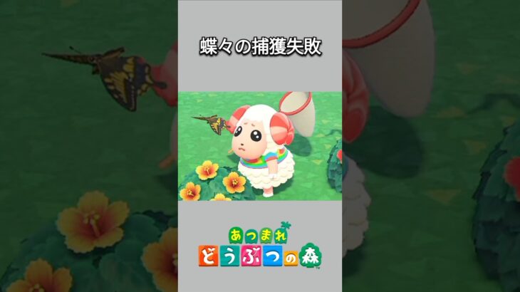 【あつ森】蝶々の捕獲に失敗するちゃちゃまる🥺失敗した瞬間の顔が可愛すぎる😆💕【あつまれどうぶつの森】【どうぶつの森】【ACNH】 #short