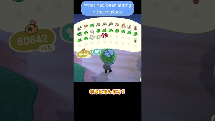 【あつ森】 宛名はニンテンドー　Addoressee Nintendo