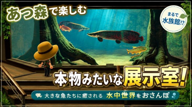 あつ森BGM「中水槽」博物館｜Animal Crossing BGM🎧
