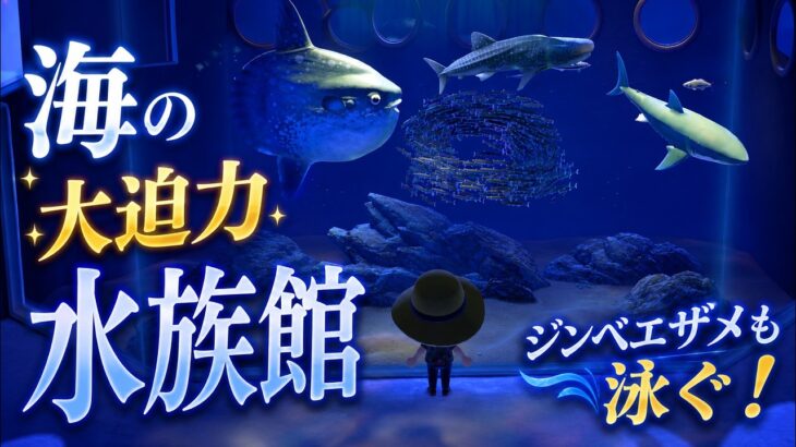 あつ森BGM「大水槽」博物館｜Animal Crossing BGM🎧