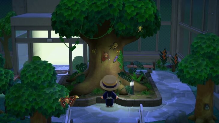 あつ森BGM「夜の昆虫たち」博物館｜Animal Crossing BGM🎧