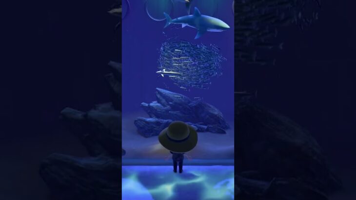 あつ森BGM「大水槽」博物館｜Animal Crossing BGM🎧