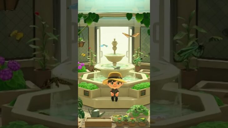 あつ森BGM「蝶の展示」博物館｜Animal Crossing BGM🎧