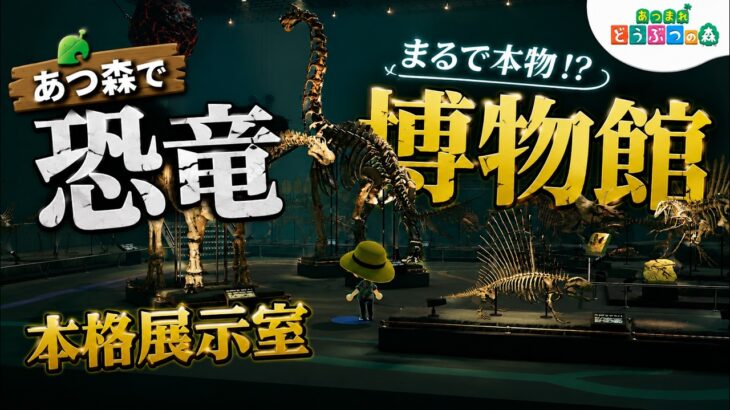 あつ森BGM「恐竜」博物館｜Animal Crossing BGM🎧