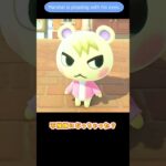 【あつ森】 目で訴えるジュン君　Capture Marshal on camera