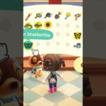 Day 231 • #acnh #animalcrossing #animalcrossingnewhorizons #cozygames #nintendo #nintendoswitch