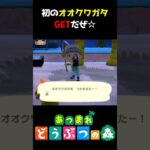 【あつ森】わーい!オオクワガタGETだぜ☆