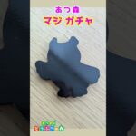 【あつ森】ガチャガチャでGETしたリス住民とは？！マグネットも★ #shorts