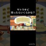 How much Bells can I make by selling everything? 　　#vlog #あつ森 #あつまれどうぶつの森 #こはくちゃんねる2424   #毎日更新　