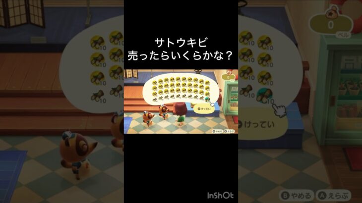 How much Bells can I make by selling everything? 　　#vlog #あつ森 #あつまれどうぶつの森 #こはくちゃんねる2424   #毎日更新　