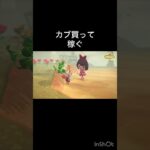 How much Bells can I make by selling everything? 　　#vlog #あつ森 #あつまれどうぶつの森 #こはくちゃんねる2424   #毎日更新　