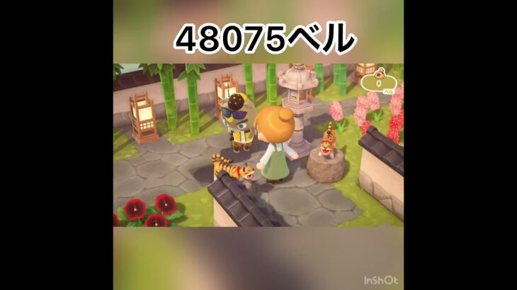 How much Bells can I make by selling everything? 　　#vlog #あつ森 #あつまれどうぶつの森 #こはくちゃんねる2424   #毎日更新　