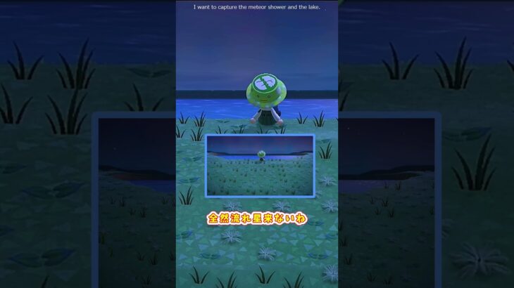 【あつ森】 流れない？流れ星　Isn’t the shooting star moving