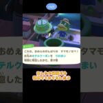 【あつ森】 働きすぎ迷惑　Kapp’n’s family New Year