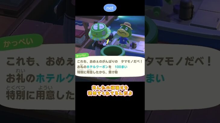 【あつ森】 働きすぎ迷惑　Kapp’n’s family New Year
