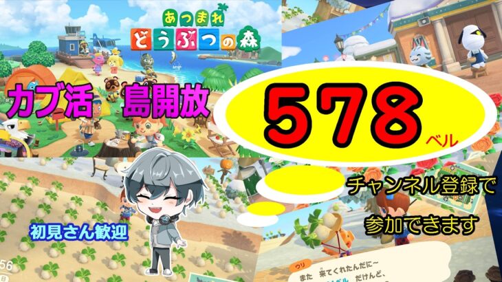 【あつ森】　島開放　カブ価５７８ベル☆　往復OK！初見さん歓迎！　きゃらめるまきあー島＃036