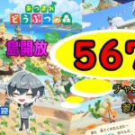 【あつ森】　１８：００まで島開放　カブ価５６７ベル☆　往復OK！初見さん歓迎！　きゃらめるまきあー島＃041