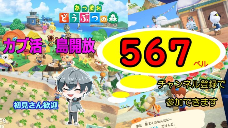 【あつ森】　１８：００まで島開放　カブ価５６７ベル☆　往復OK！初見さん歓迎！　きゃらめるまきあー島＃041