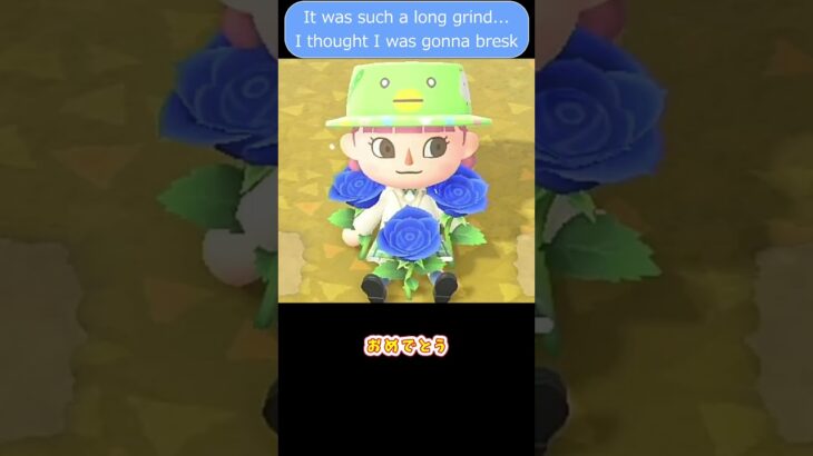 【あつ森】　あなたが居るから　Resetti keeps me going!