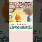 ハムスケの絶対ナイショの秘密とは？【あつ森】 #Shorts #あつ森