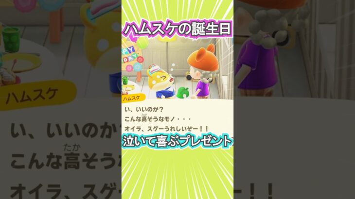 ハムスケが誕生日プレゼントで大泣き!?【あつ森】 #Shorts #あつ森